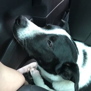 Meet your Posher, Kaylee